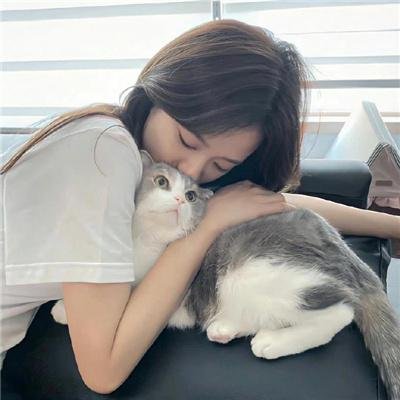 我的猪队友